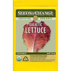  Seeds of Change S22612 Certified Organic Galactic Red Leaf 