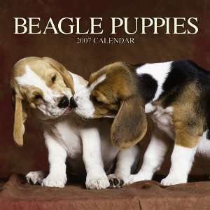  Beagle Puppies 2007 Mini Calendar (9781421606026 