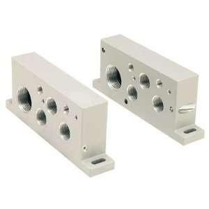   Manifold Accessories End Plate,End Plate,5599 1 ISO: Home Improvement