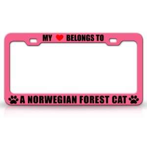 MY HEART BELONGS TO A NORWEGIAN FOREST Cat Pet Auto License Plate 