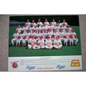  1987 Louisville [Kentucky] Redbirds Baseball Team Picture 