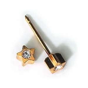 INVERNESS 24K Gold Star Crystal Piercing Earrings: Health 