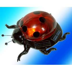  Solar powered decorative ladybug light