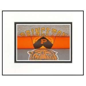  Princeton Tigers Vintage T Shirt Sports Art: Sports 
