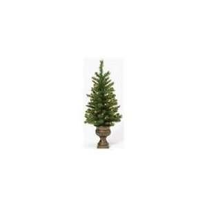   Aspen Christmas Potted Topiary Tree with Clear Lights: Home & Kitchen