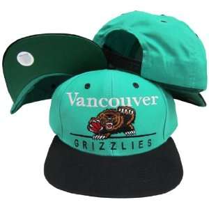  Vancouver Grizzlies Teal/Black Two Tone Plastic Snapback 