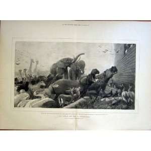  GodS Covenant With Noah By Heywood Hardy 1876 Fine Art 