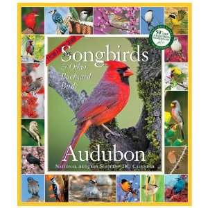  Audubon 365 Songbirds Wall Calendar 2011: Office Products