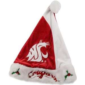  Washington State Cougars Mistletoe Santa Hat: Sports 