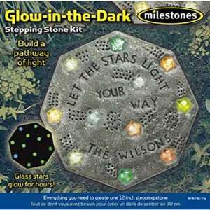  Milestones, Glow in the Dark Kit Toys & Games