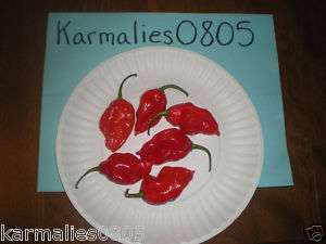 RED DEVILS TONGUE 20+ PEPPER SEEDS ****  