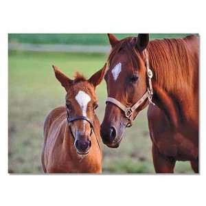  Mare & Foal 60 Piece Cardboard Jigsaw Puzzle Toys & Games