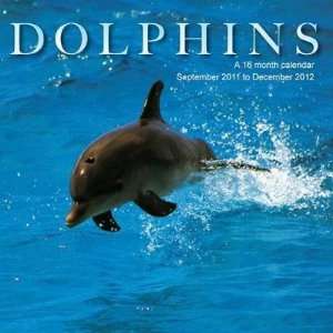 Dolphins 2012 Wall Calendar 12 X 12