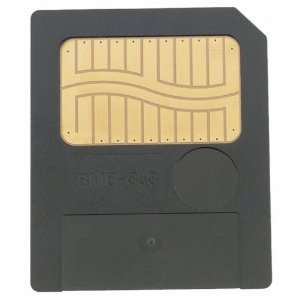  Delkin 8 MB Flash Memory Card (DDSMFLS2 08) Electronics