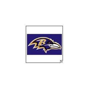   Baltimore Ravens Nylon   indoor NFL Flag Made in US.