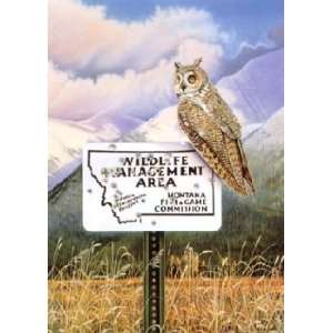 Monte Dolack   Long Eared Owl 