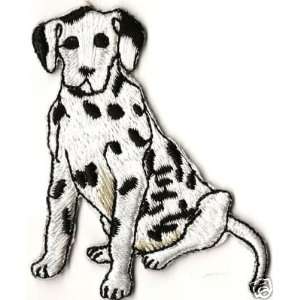  Dogs/Dalmatian   Embroidered Iron On Applique Everything 