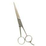 Boots Professional Hairdressing Scissors