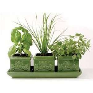 Toysmith Italian Herb Trio Green Ceramic Window Set of 3 Stoneware 