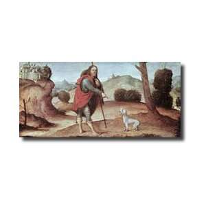 St Rocco From A Predella Panel Giclee Print 