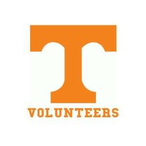  Tennessee Volunteers Static Cling Decal: Sports & Outdoors