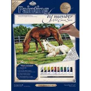  Paint By Number Kits 11X14 Horses In Field: Toys & Games