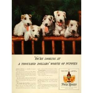   Alcohol Fox Terrier Puppies Dogs   Original Print Ad