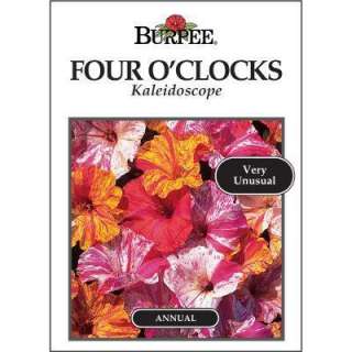 Burpee Four OClock Kaleidoscope Seed 33475  