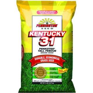   Lb. Penkoted Kentucky 31 Fescue Grass Seed 148427 