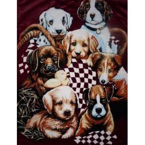 Kuscheldecke Tagesdecke Decke Motiv Hunde / Welpen 160x210cm  