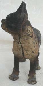   1900 Hubley cast iron bull Dog Boston Terrier doorstop~original paint