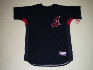 2009 Cleveland Indians Game Used / Worn Jersey  