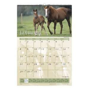  Monthly Wall Calendar,1 Year, Horse Images,15 1/2x22 3/4 