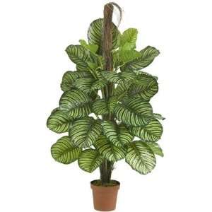  Exclusive By Nearly Natural 52 Inch Calathea Silk Plant 