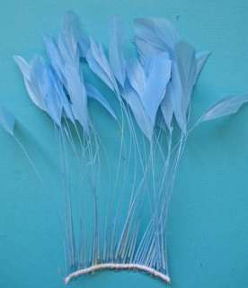 30 PCS. LIGHT BLUE STRIPPED COQUE ROOSTER FEATHERS  