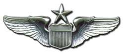 United States Air Force   Senior Pilots Wing ½ size  