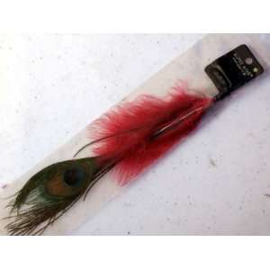  Peacock Feathers with Red Color Feather with Clip Onit 