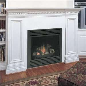   Gas Direct Vent Fireplace System With Millivolt Control Home