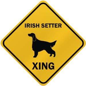  ONLY  IRISH SETTER XING  CROSSING SIGN DOG