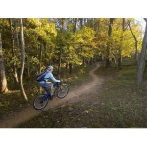  Woman Mountain Biker Rides Singletrack Trail Through Woods 