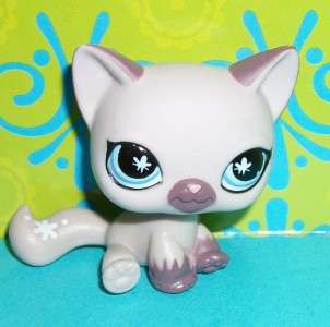 Littlest Pet Shop~#664 GRAY/MAUVE SIAMESE KITTY CAT Squeaky Clean~N123 