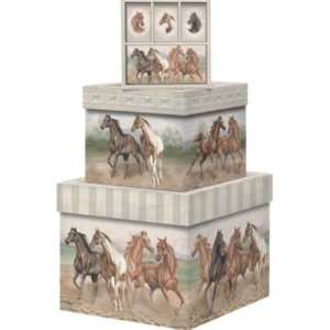   Wild Horses Square Nesting Boxes   3 Box Set