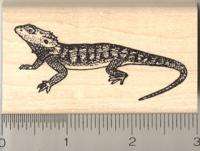 Bearded Dragon Rubber Stamp Wood Mounted G643  