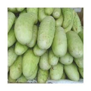  Edmondson Cucumber Seeds